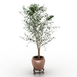Modello 3d dell'albero della pianta in vaso del ristorante