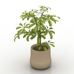 Stone Vase Plant 3d model