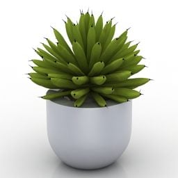 Indoor Plant Plastic Pot 3d model