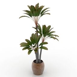 Indoor Pot Palm Tree 3d model