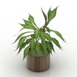 Wooden Pot Flower 3d model