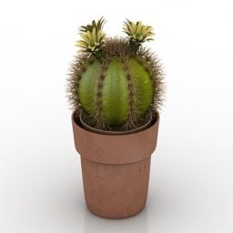 Cactus In Clay Pot 3d model