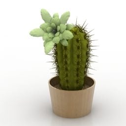 Desk Pot Cactus 3d model