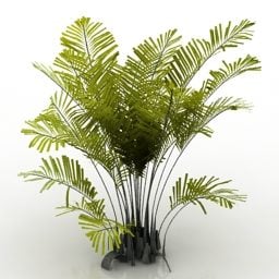 Model 3D małej palmy ogrodowej