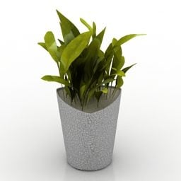 Home White Pot Plant 3d model