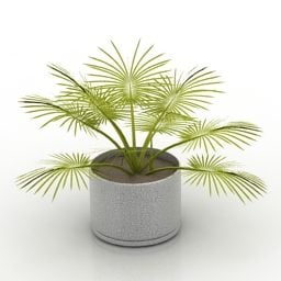 Mini Palm Plant Potted 3d model