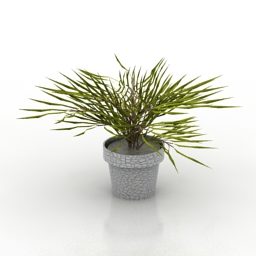 Home Garden Decor Pot Plant 3d model