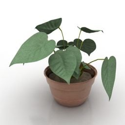 带叶植物的砂锅3d模型