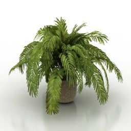 Piccola pianta di palma in vaso modello 3d