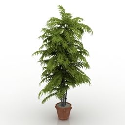 High Plant In Pot 3d model