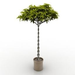 Bürodekorative Pflanze im Topf 3D-Modell