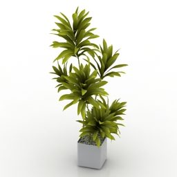 Palm Decoration In Pot 3d model
