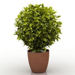 Modello 3d di siepe per piante in vaso da giardino
