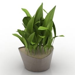 Office Pot Flower Plant 3d model