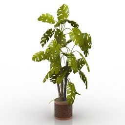 Leaves Plant Potted 3d model
