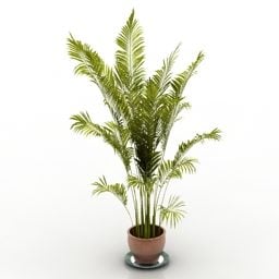 Palm Potted Decoration 3d model