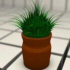 Terracotta Pot Grass Plant