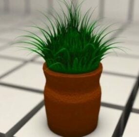 Terracotta Pot Grass Plant 3d model