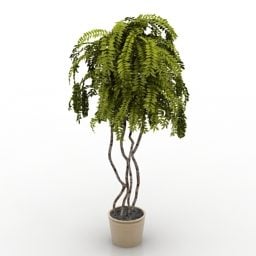 Leave Tree Indoor Plant 3d model