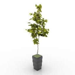 Leave Tree Flower In Pot 3d model