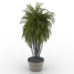 Medium Size Pot Palm Tree 3d model