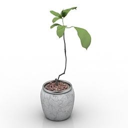 Office Desk Pot Flower Plant 3d model