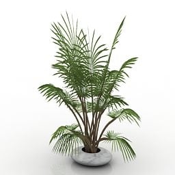 Office Floor Pot Palm Plant 3d model