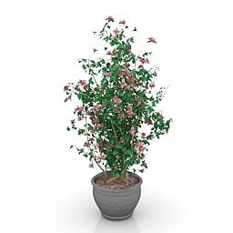 Office Garden Pot Flower Plant 3d model