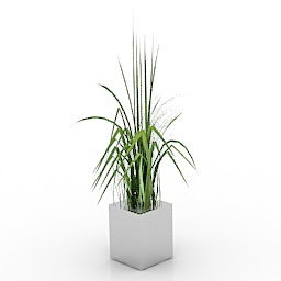 Desk Square Pot Flower 3d model