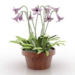 Home Table Pot Flower 3d model