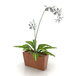 Fleur d'orchidée en pot modèle 3D