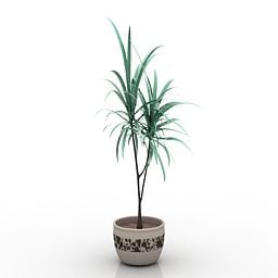 Palm in pot 3D-model