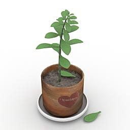 Leave Plant Pot For Indoor Room 3d model
