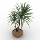 Palmenpflanze Holztopf