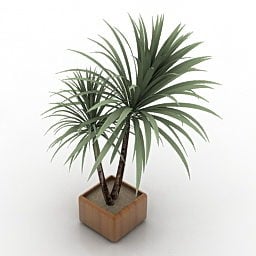 シンプルなヤシの木、熱帯の木、3Dモデル