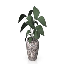 Chinese Vase Plant 3d model