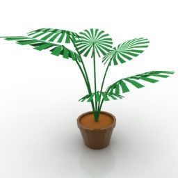Hausgarten-Topfpflanze 3D-Modell