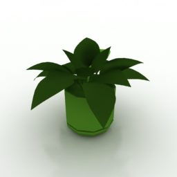 Home Small Desk Plant 3d model