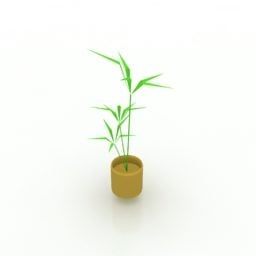 Okrasná bambusová rostlina v květináči 3d model