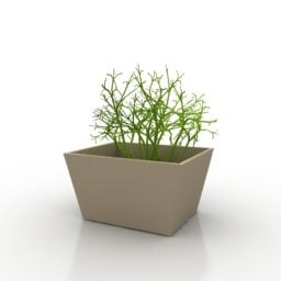 庭の長方形の鉢植えの植物3Dモデル
