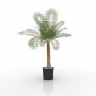 Small Potted Palm Tree