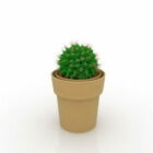 Clay Vessel Cactus Plant