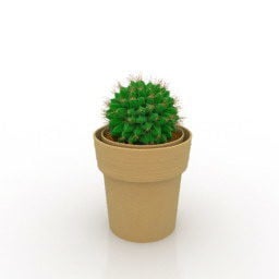 Plante de cactus en récipient d'argile modèle 3D