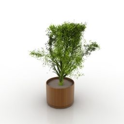 Round Pot Plant For Home 3d model