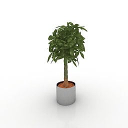 Office Indoor Pot Plant 3d model