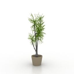 Potted Plant Bush 3d model
