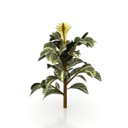 Modello 3d della pianta del fiore giallo del giardino