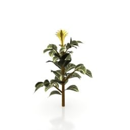 Жовта квітка Листя Рослина Дерево 3d модель