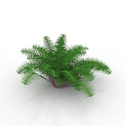 Model 3D małej rośliny paproci ogrodowej