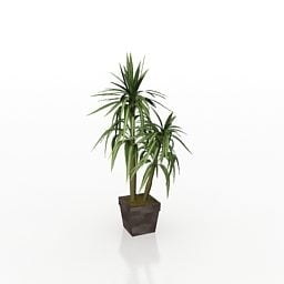 Potted Palm Tree For Office Interior 3d model